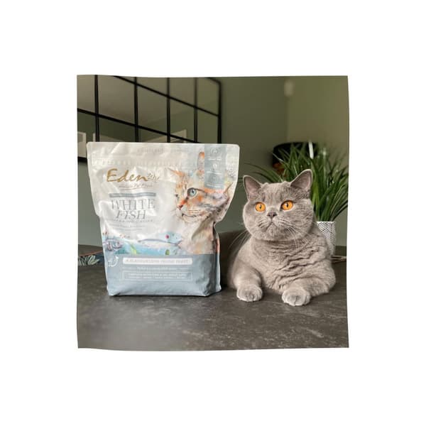 EDEN Vit fisk med sillkaviar - torr kattmat - 1,5 kg