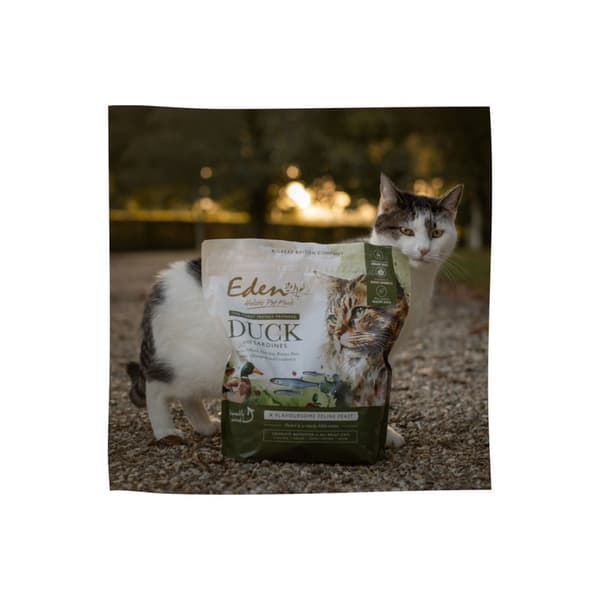 EDEN Duck & Sardin - torr kattmat - 1,5 kg