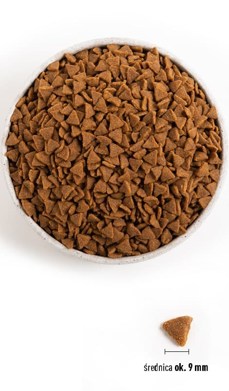 ACANA Homestead Harvest - torrfoder för katter - 340 g
