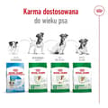 Miniatyrbillede 3 af 6: ROYAL CANIN Adult Mini S - tørfoder til hunde - 4 kg