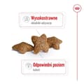 Miniatyrbillede 4 af 6: ROYAL CANIN Adult Mini S - tørfoder til hunde - 4 kg