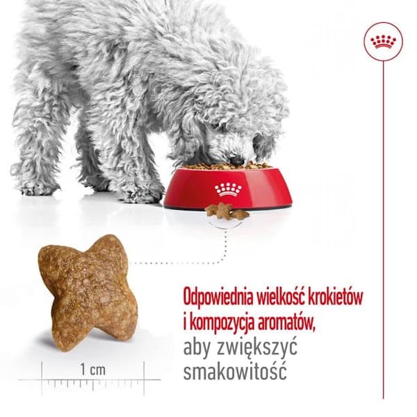 ROYAL CANIN Adult Mini S - tørfoder til hunde - 4 kg