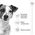 Miniatyrbillede 6 af 6: ROYAL CANIN Adult Mini S - tørfoder til hunde - 4 kg