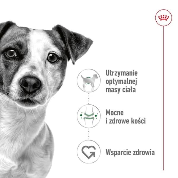 ROYAL CANIN Adult Mini S - tørfoder til hunde - 4 kg