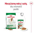 Miniatyrbillede 2 af 6: ROYAL CANIN Adult Mini S - tørfoder til hunde - 4 kg