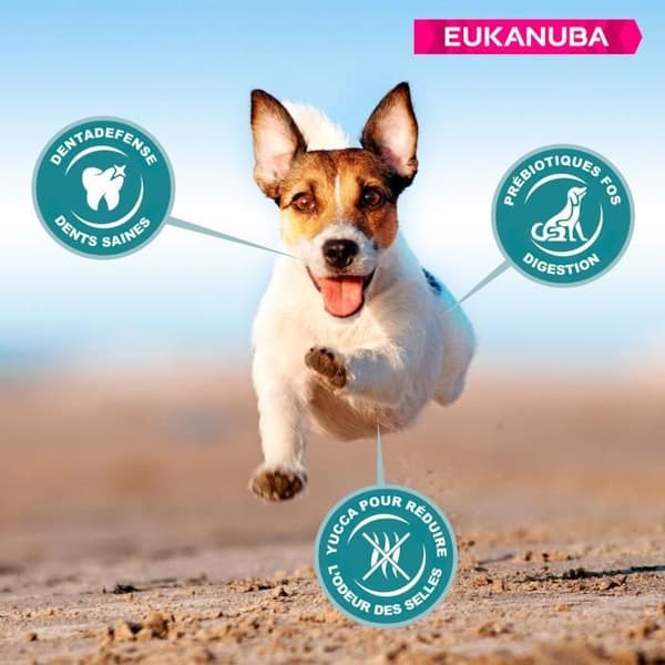 Eukanuba vuxen hund (1 till 7 år) Små (-10 kg) Kycklingkroketter 3 kg