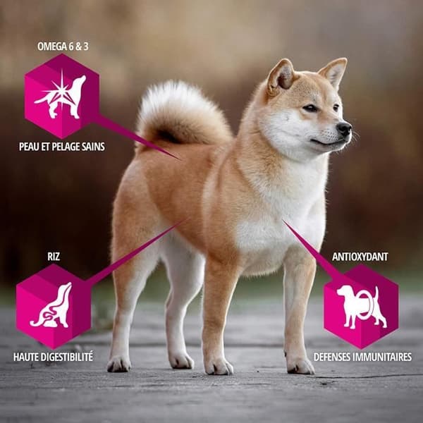 Eukanuba Daily Care - Adult Sensitive Digestion Torrt hundfoder - 2,3 kg