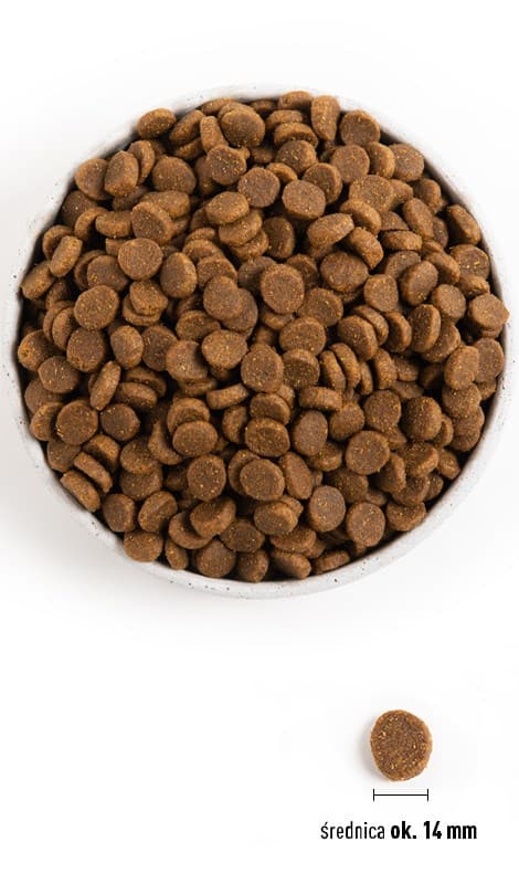 ACANA Hundelys & Fit Opskrift - tør hundefoder - 11,4kg