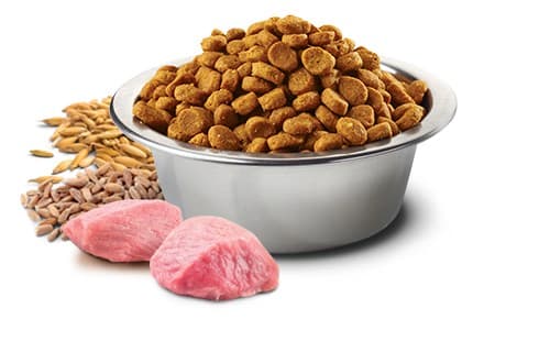 Farmina Pet Food N&D Ancestral Grain Canine 15 kg voksen kylling