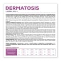 Miniatyrbild 3 av 3: VETEXPERT Veterinärdiet Dermatos Hund Lamm & Krill - torr hundmat - 2 kg