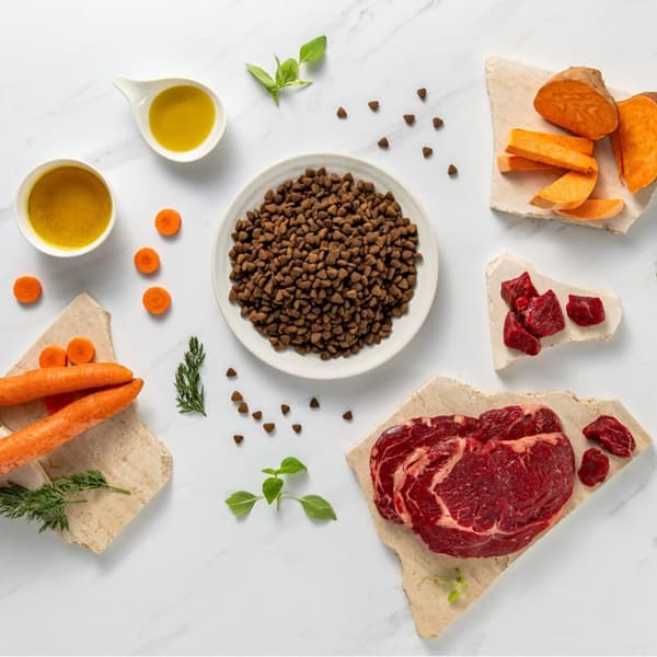 RAW PALEO Ultra Medium & Large Adult Oksekød - tørt hundefoder - 10 kg