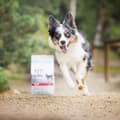Miniatyrbillede 6 af 7: RAW PALEO Ultra Medium & Large Adult Oksekød - tørt hundefoder - 10 kg