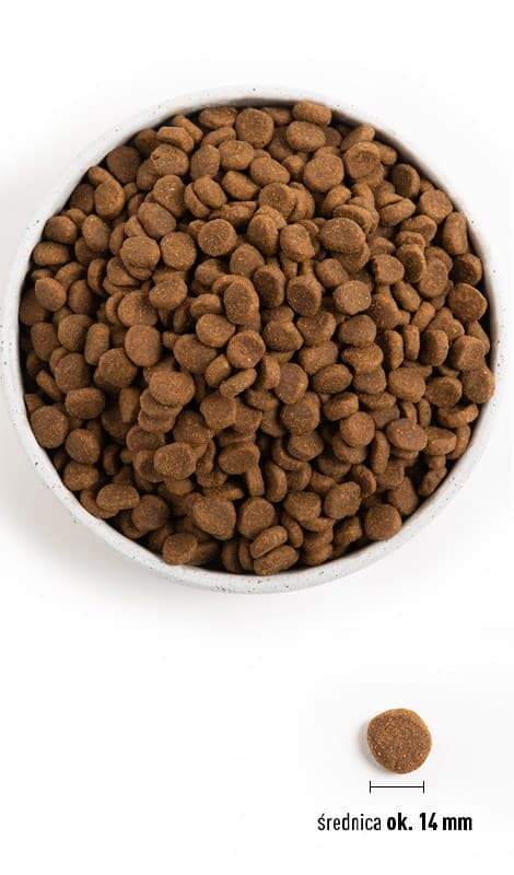 ORIJEN Senior - torrfoder för hundar - 11,4 kg