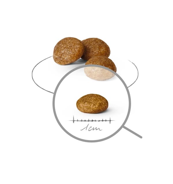 ROYAL CANIN Adult x-small SHN - torrfoder för hundar - 3 kg