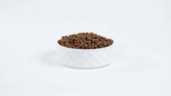 BULT Lohi ja taimen - kuiva koiranruoka - 12 kg