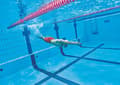 Miniatyrbild 4 av 4: Öronproppar - Arena näsklämma - 95212-71-NS - Nose Clip Pro