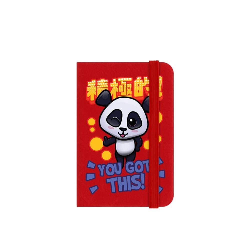 Handa Panda Du har den här minibokboken
