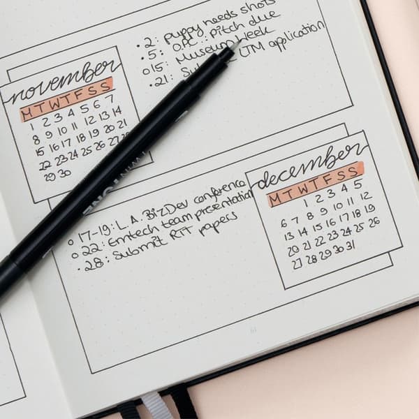 Bullet journal  A5 Prickad Blush Leuchtturm1917