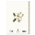 Miniatyrbild 3 av 3: Anteckningsbok A5 Magnolia Linjerad 50 sidor Gullers