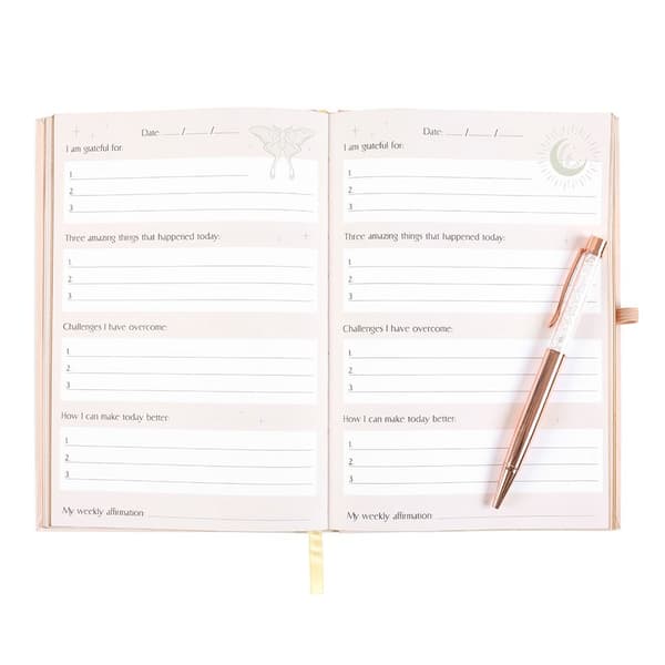 Something Different Daily Reflection Luna Moth Journal