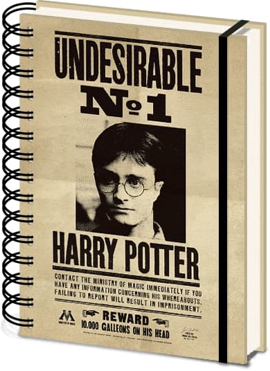 Notebook A5 Wiro Harry Potter (Sirius & Harry) 3D
