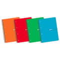 Miniatyrbillede 1 af 3: Enri En 4+160 5x5 Assorted 5x5 Assorted Notesbog Flerfarvet