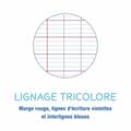 Miniatyrbild 3 av 4: Caligraph Notebook - 108708C