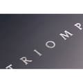 Miniatyrbild 3 av 6: Clairefontaine Triomphe Platinum 96-sidig anteckningsbok