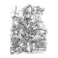 Miniatyrbillede 2 af 4: Dirac Dist Vivir Para Dibujar Spanish Bog