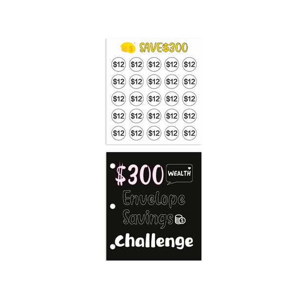 INF Money Saving Challenge Binder - Mini Cash Konvolut System - $300 mål