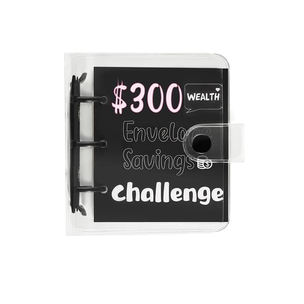 INF Money Saving Challenge Binder - Mini Cash Konvolut System - $300 mål