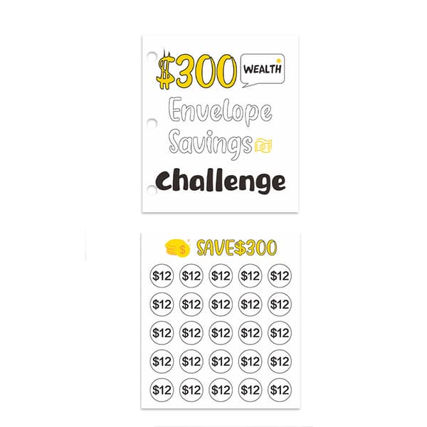 INF Money Saving Challenge Binder - Mini Cash Envelope System - 300 dollarin tavoite