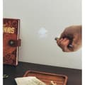 Miniatyrbild 2 av 4: CARNET PREMIUM A5 MED PEN PROJEKTOR DIE GOONIES