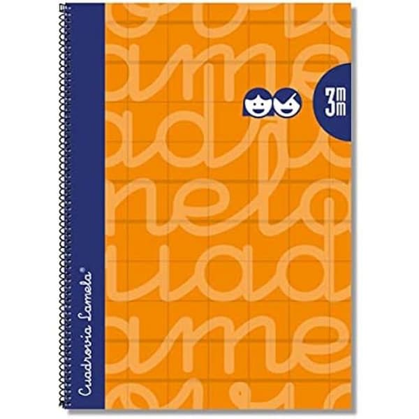 Anteckningsbok - LEDARE LAMELA - Set med 5 - 80 sidor - 5 olika färger - 80 g papper