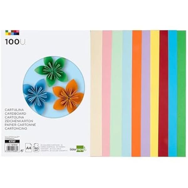 Papier A4 - LIDERPAPEL - 100 ark - 180 g/m² - 25 assorterade färger