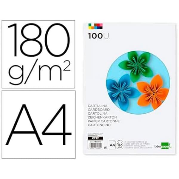 Papier A4 - LIDERPAPEL - 100 ark - 180 g/m² - 25 assorterade färger