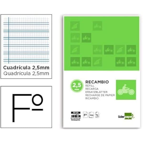 Recharge A4 - LIDERPAPEL - 100 ark - 75 g/m² - rutat 2,5 mm - marginal 4 hål