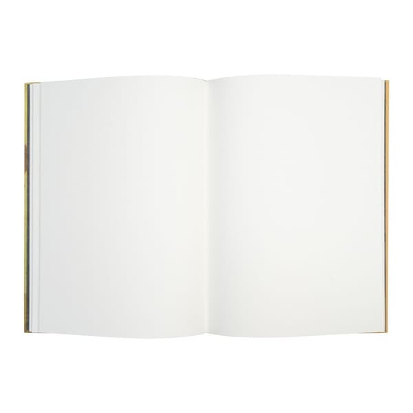 Van Gogh Museum A5 premium notebook + pen set