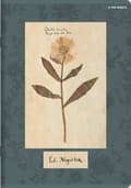 Miniatyrbillede 7 af 11: Notebook A5 60k Blomster ternet Top2000 lak