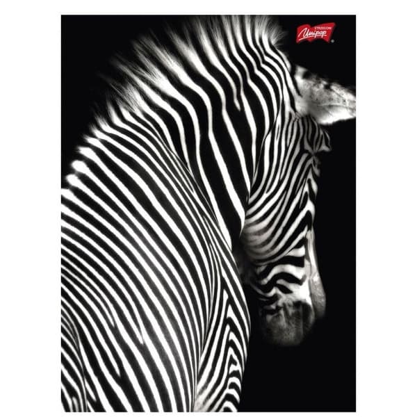Notebook A5 60k line lamineret MIX D-2468 Unipap