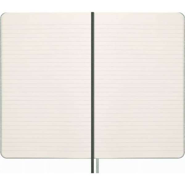 Moleskine Snake Notebook 2025, L, syntetiskt ormskinn, linjerad, 13 x 21 cm, i en låda, grön