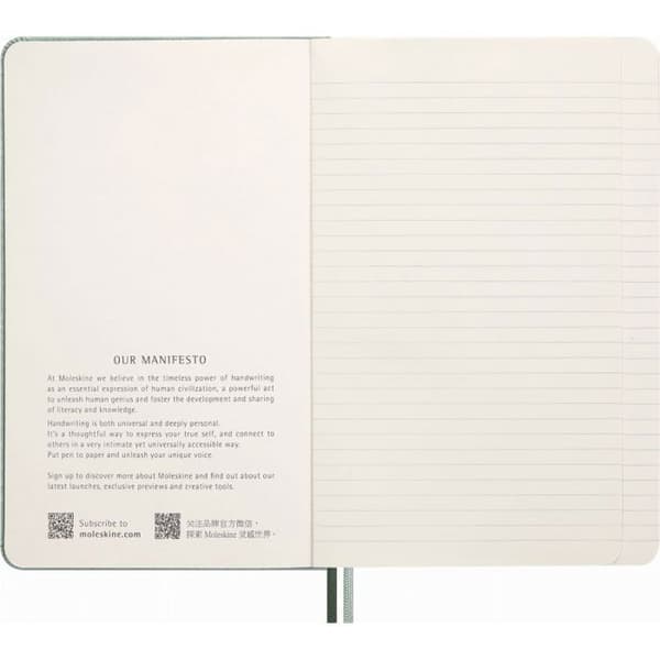 Moleskine Snake Notebook 2025, L, syntetiskt ormskinn, linjerad, 13 x 21 cm, i en låda, grön