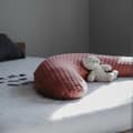 Miniatyrbild 2 av 5: Breastfeeding Cushion Béaba Terracotta