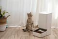 Miniatyrbild 2 av 7: Xiaomi Smart foderautomat - automatisk utfodring av hund och katt