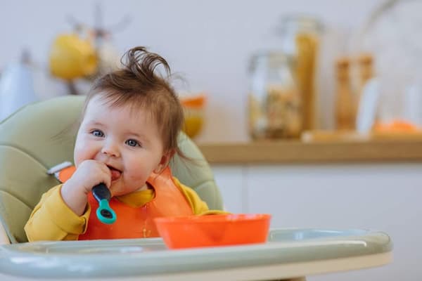 TOMMEE TIPPEE Smushee first self-feeding spoon 2 pcs, 4m+, mix 44718610