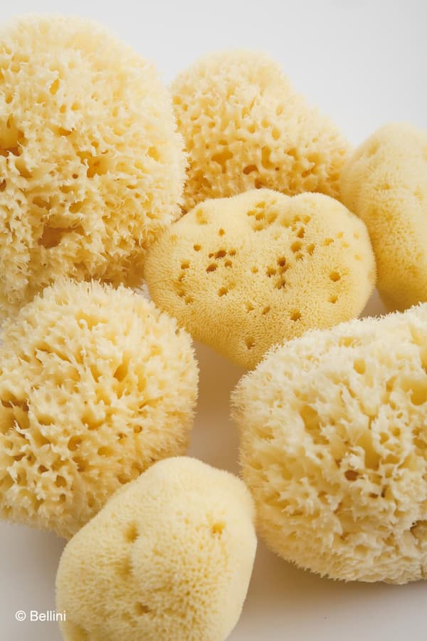 Babù® sponge natural nr.12