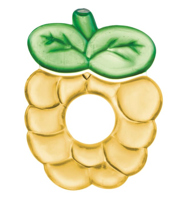 CANPOL BABIES teether Fruits,, 2/812