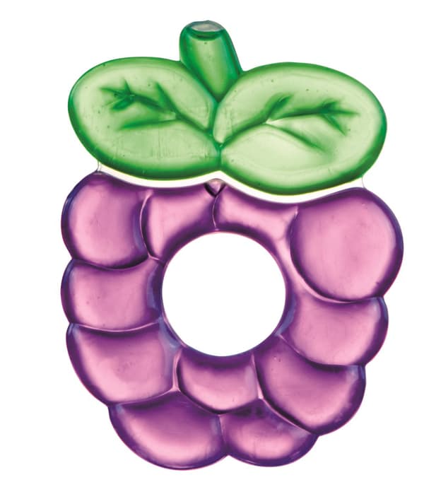 CANPOL BABIES teether Fruits,, 2/812