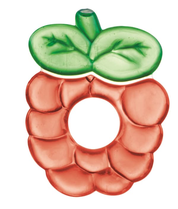 CANPOL BABIES teether Fruits,, 2/812