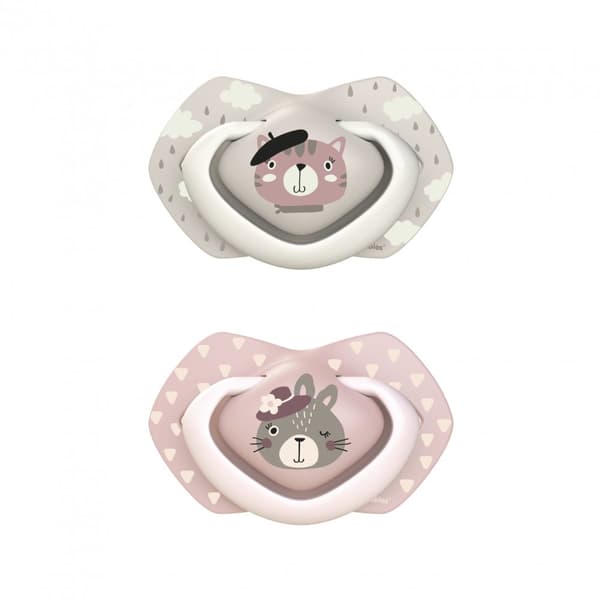 CANPOL BABIES silicone symmetrical soothers BONJOUR PARIS, 18m+,2 pcs,  22/649_pin